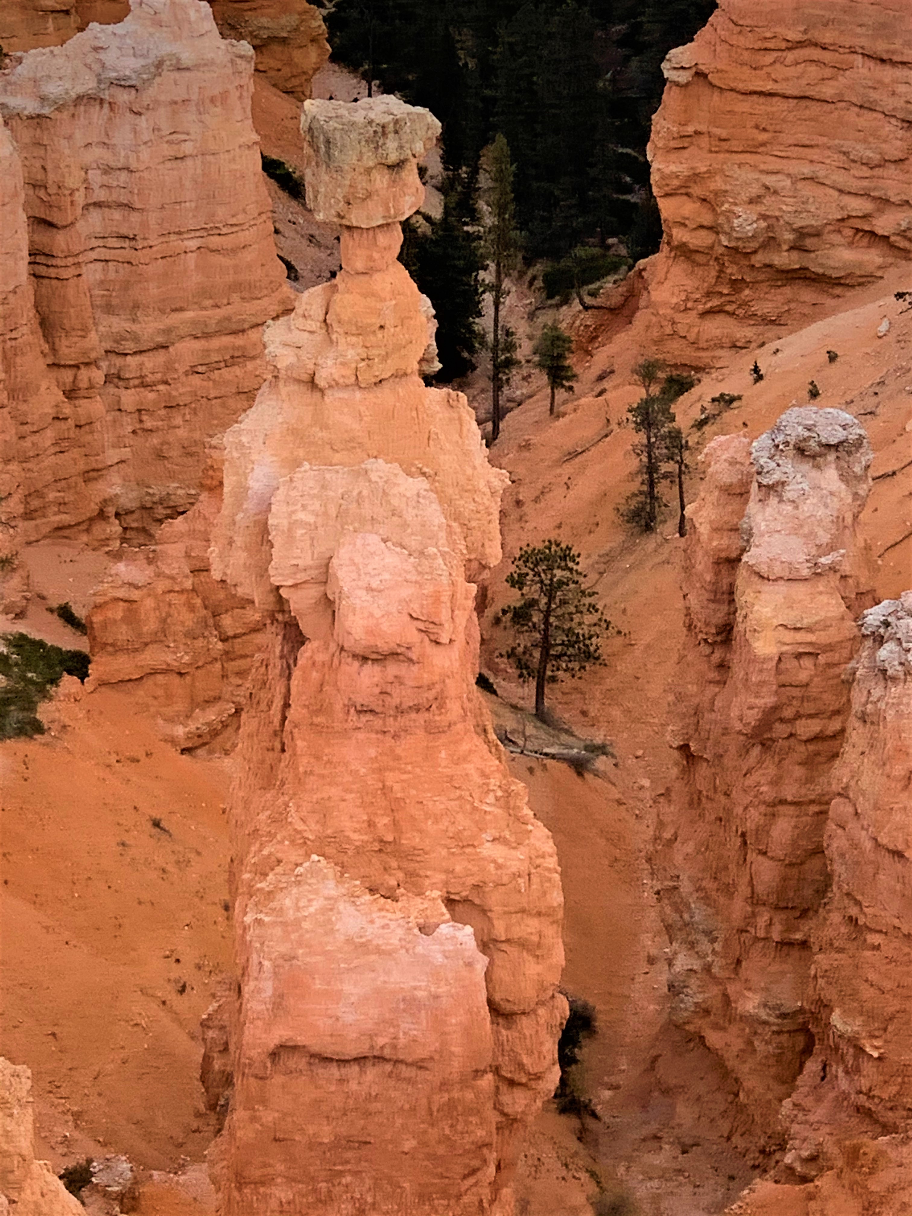 Bryce Canyon NP